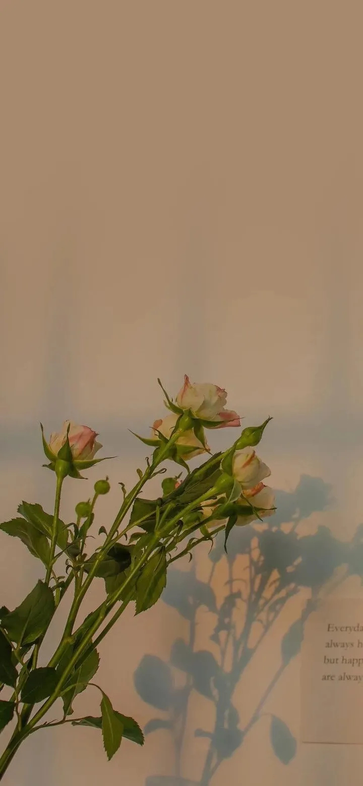 又要见面了