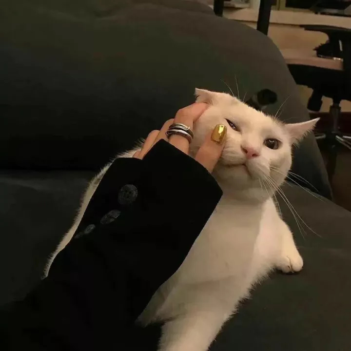 小蒋的碎碎念